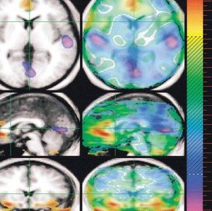 Meet your Posher, Jeff